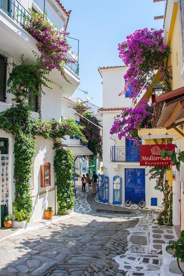 Vila Mikri Gonia Skiathos Exteriér fotografie